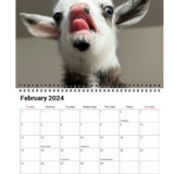 2025-2026 Calendar - Image 4