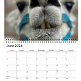 2025-2026 Calendar - Image 3