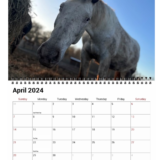 2025-2026 Calendar - Image 2